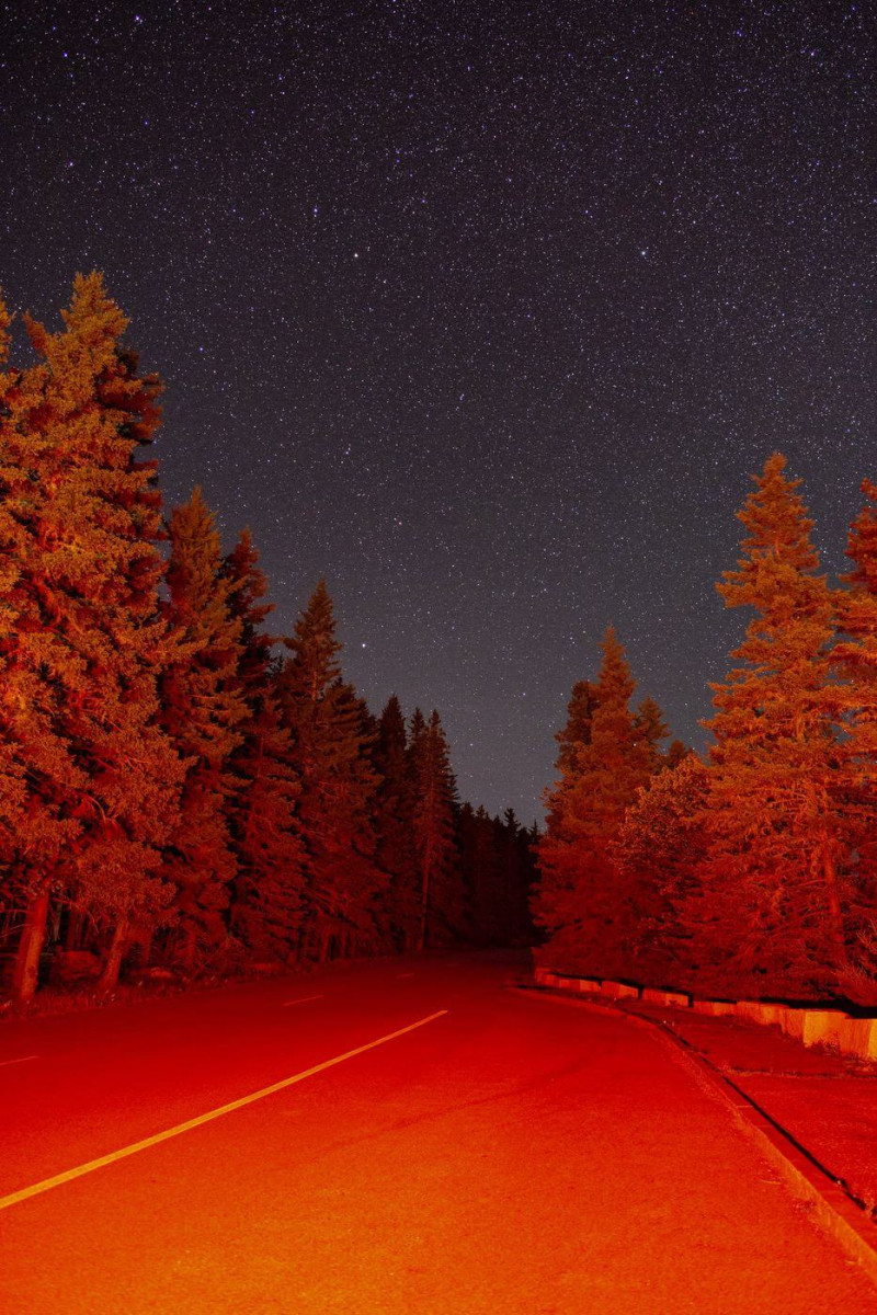 Scary forest road at night illuminated by break lights